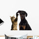 Cat Pawing Dog Ear Wall Decal
