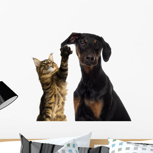 Cat Pawing Dog Ear Wall Decal