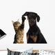 Cat Pawing Dog Ear Wall Decal
