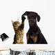 Cat Pawing Dog Ear Wall Decal