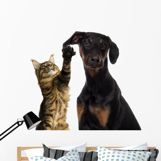 Cat Pawing Dog Ear Wall Decal