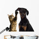 Cat Pawing Dog Ear Wall Decal
