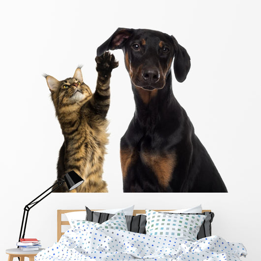 Cat Pawing Dog Ear Wall Decal