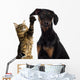 Cat Pawing Dog Ear Wall Decal