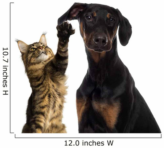 Cat Pawing Dog Ear Wall Decal