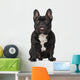French Bulldog Dog Wall Decal