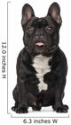 French Bulldog Dog Wall Decal