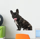 French Bulldog Puppy 1 Wall Decal