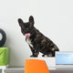 French Bulldog Puppy 1 Wall Decal
