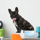French Bulldog Puppy 1 Wall Decal