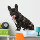 French Bulldog Puppy 1 Wall Decal