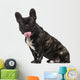 French Bulldog Puppy 1 Wall Decal