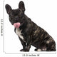 French Bulldog Puppy 1 Wall Decal