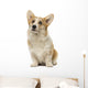 Welsh Corgi Pembroke Wall Decal