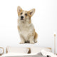 Welsh Corgi Pembroke Wall Decal