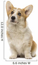 Welsh Corgi Pembroke Wall Decal
