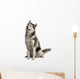 Siberian Husky Wall Decal