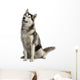 Siberian Husky Wall Decal
