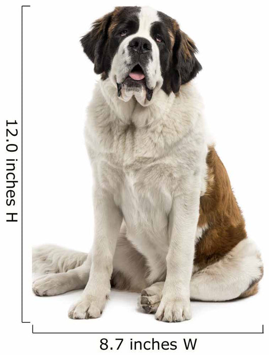 Saint-Bernard Sitting Wall Decal
