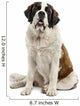 Saint-Bernard Sitting Wall Decal