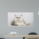 Persian 2 Years Old Wall Decal