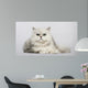 Persian 2 Years Old Wall Decal