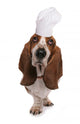 Chef Basset Hound Wall Decal