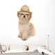 Safari Shih Tzu Dog Wall Decal