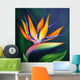 Strelitzia Bird Paradise Flower Wall Decal