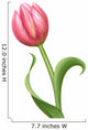 pink tulip flower Wall Decal