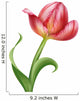 Pink Tulip Flower Illustration Wall Decal