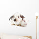 Rabbit and Guinea Pig Wall Decal
