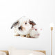 Rabbit and Guinea Pig Wall Decal