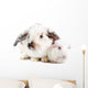 Rabbit and Guinea Pig Wall Decal