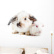 Rabbit and Guinea Pig Wall Decal