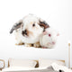 Rabbit and Guinea Pig Wall Decal