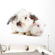 Rabbit and Guinea Pig Wall Decal