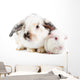 Rabbit and Guinea Pig Wall Decal