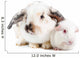 Rabbit and Guinea Pig Wall Decal