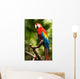 Scarlet Macaw Parrot Wall Decal