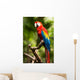 Scarlet Macaw Parrot Wall Decal