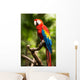 Scarlet Macaw Parrot Wall Decal