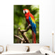 Scarlet Macaw Parrot Wall Decal
