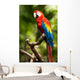Scarlet Macaw Parrot Wall Decal