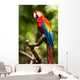 Scarlet Macaw Parrot Wall Decal