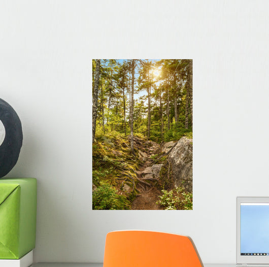 Moose Horn Trail Path Wall Decal