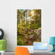 Moose Horn Trail Path Wall Decal