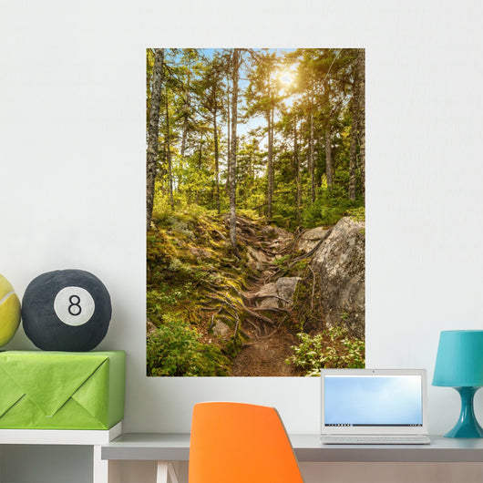 Moose Horn Trail Path Wall Decal