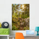 Moose Horn Trail Path Wall Decal