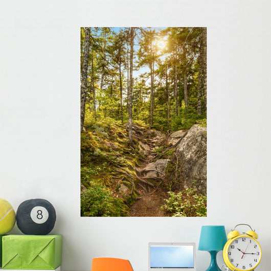 Moose Horn Trail Path Wall Decal